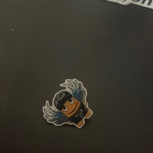 Amazon peccy pin 1 year